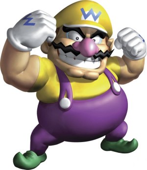 warioflex_1.jpg