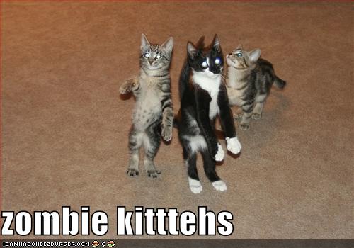 funny-pictures-these-cats-are-zombies.jpg