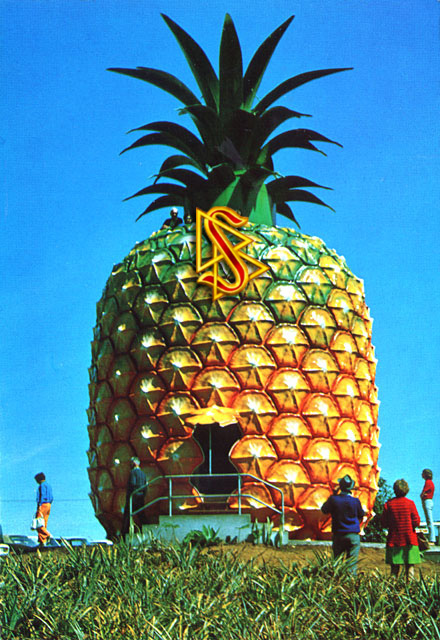 the_big_pineapple_scientolo.jpg