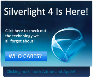 silverlight2.jpg